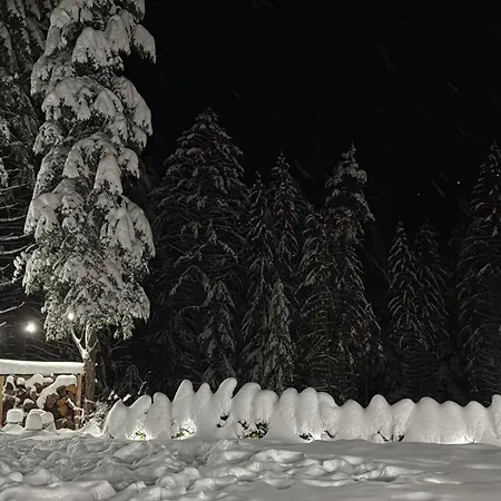 Berghof Eva - Паничище