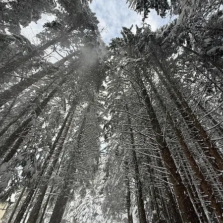 Berghof Eva - Хотел
