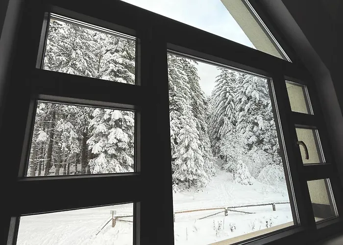 Berghof Eva - * Panichishte