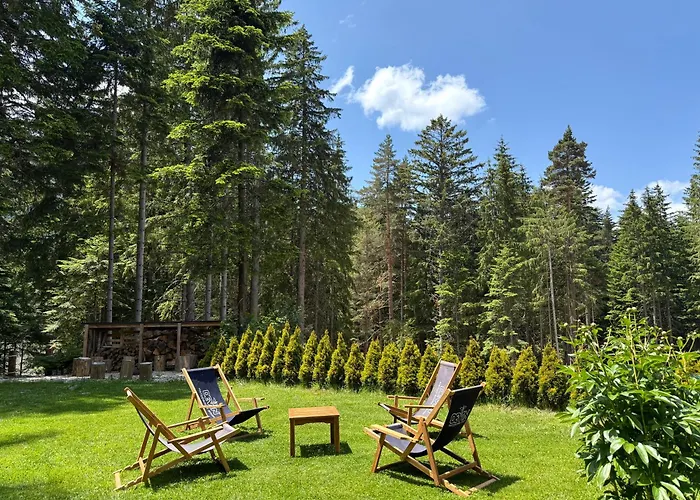 Hotel Berghof Eva - *